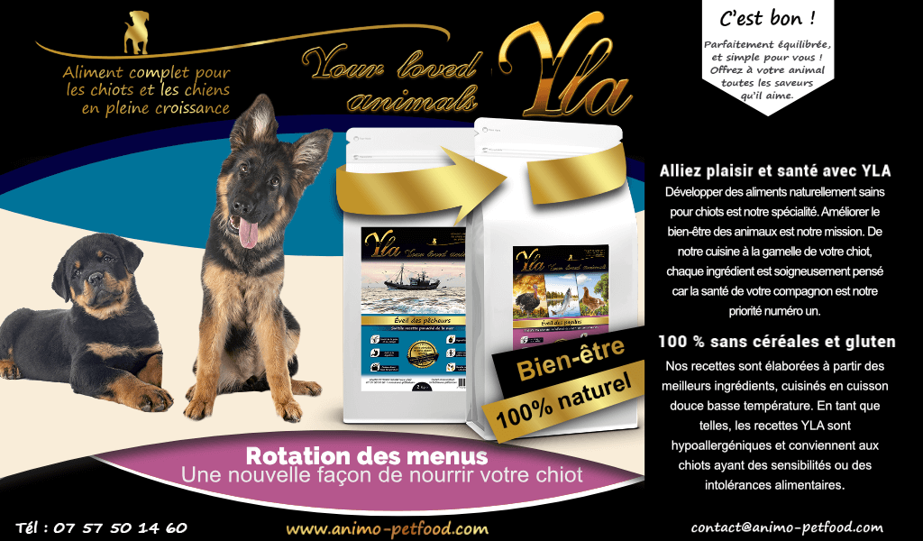 rotation menu pour chiot